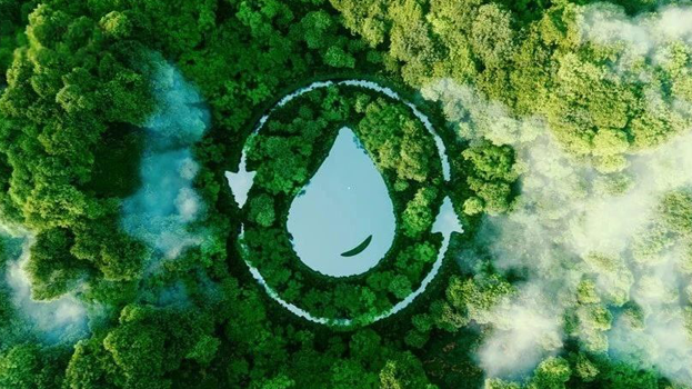 首页- YABO鸭脖公司官网
